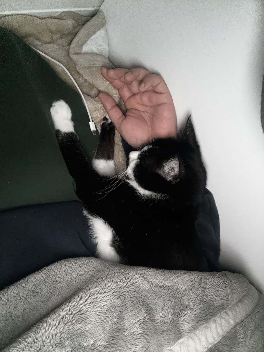 ケイシー tweet media