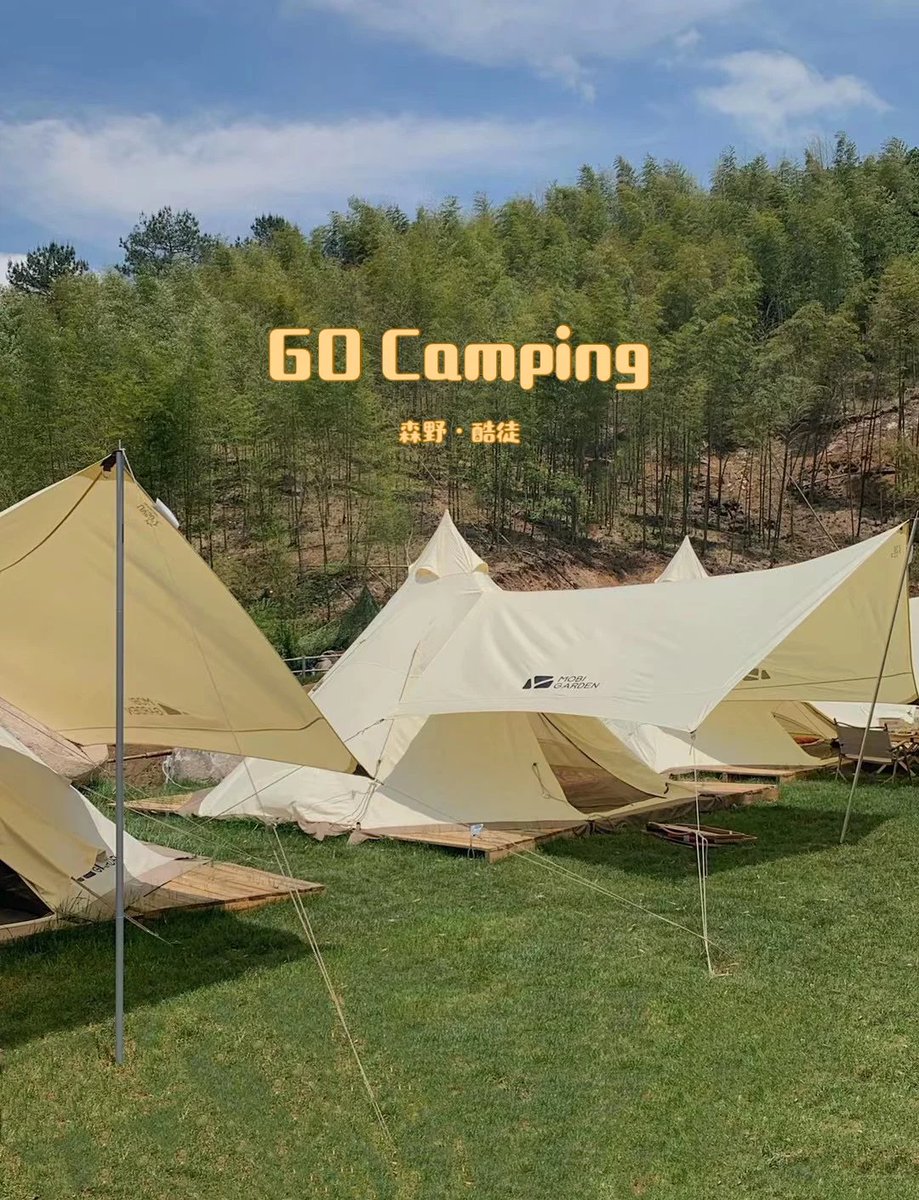 dalia ehab tweet media