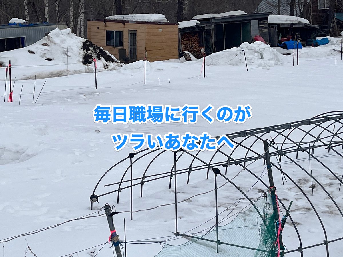三栗祐己🍅 増刷決定！『北の国から　家族4人で幸せ自給生活』 tweet media