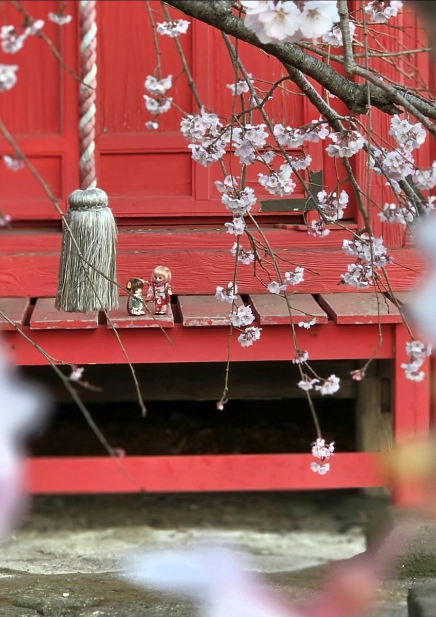 マシロ tweet media