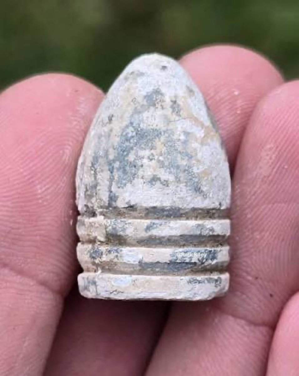 PNW Conservative tweet media