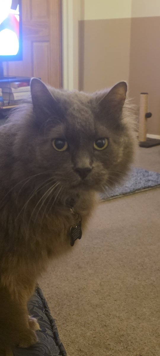 Discomfort (Kieran) tweet media