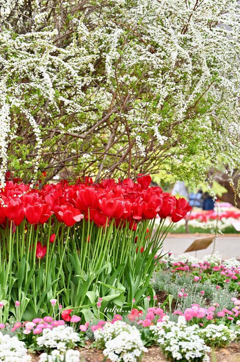 たかちゃん🦄@相互フォロー💛 tweet media