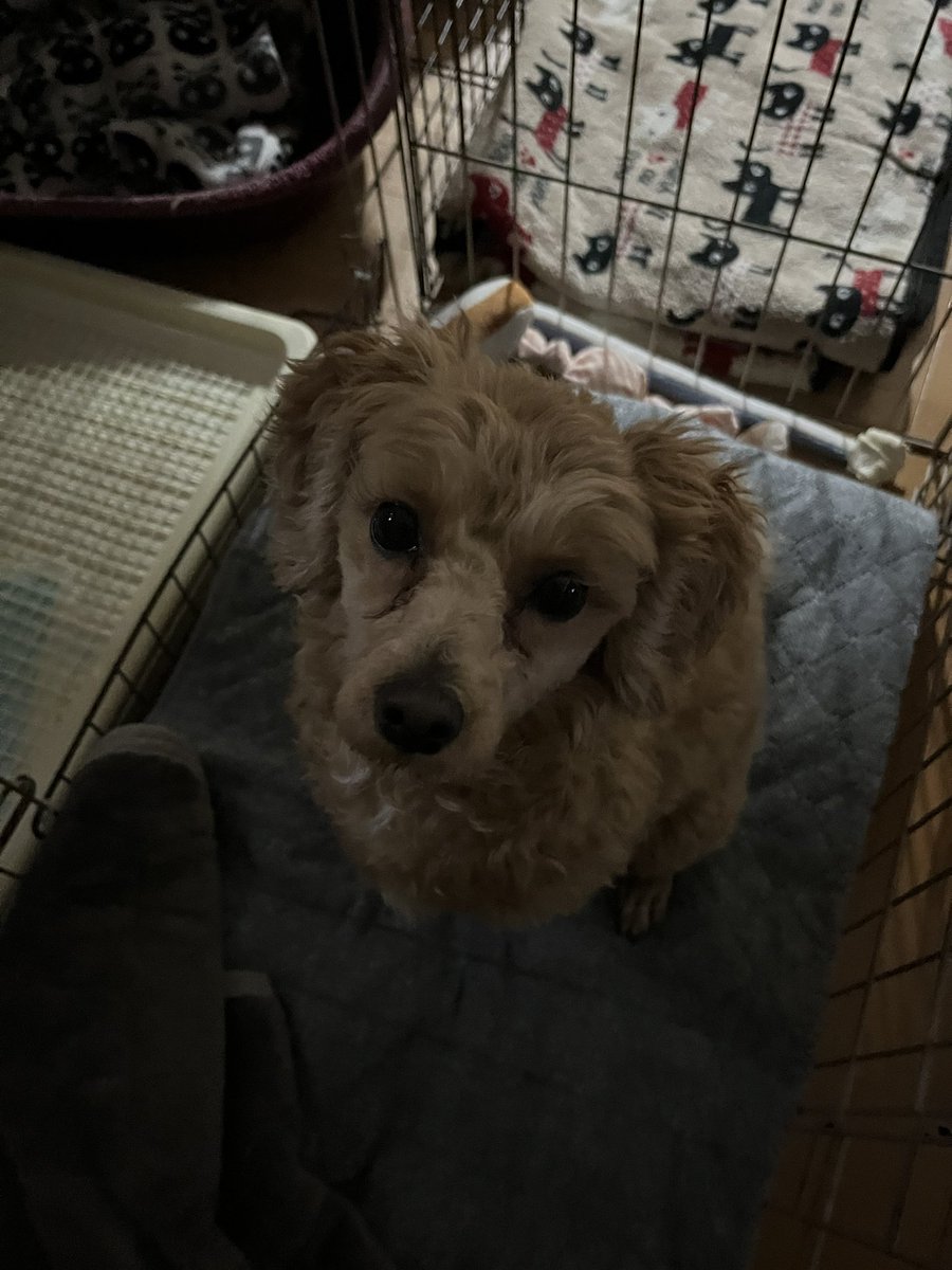 笠原啓聖 tweet media