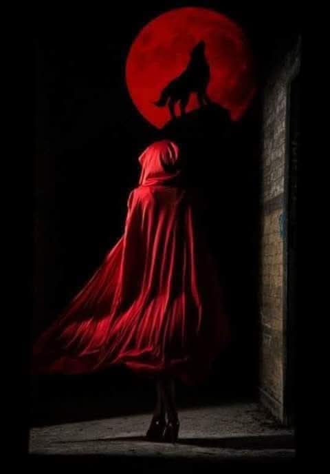 ꧁ 𝕾𝖊𝖑𝖎𝖓𝖎 ꧂🌛🌜🖤 tweet media