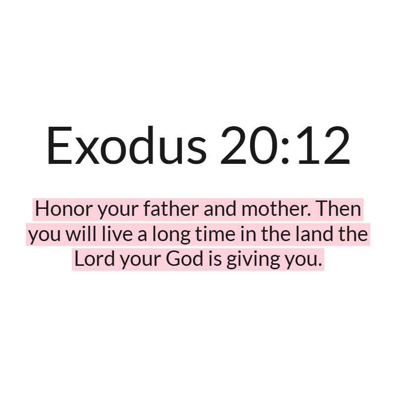 Jesus Insight tweet media