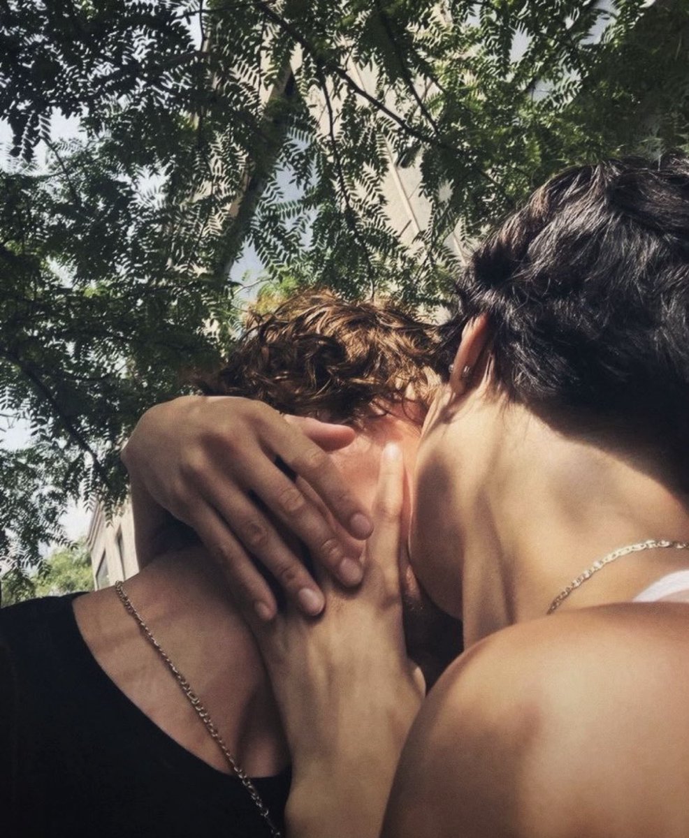 shane hollander tweet media