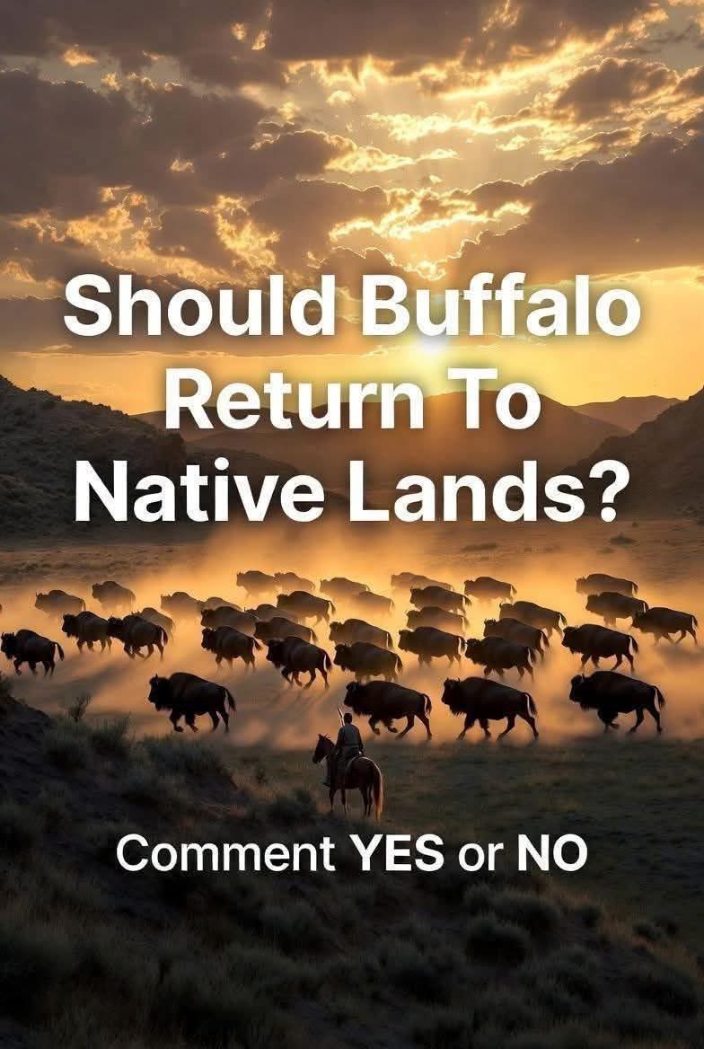 Proud Native Americans tweet media