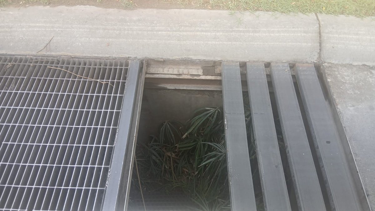 Solares Residencial tweet media