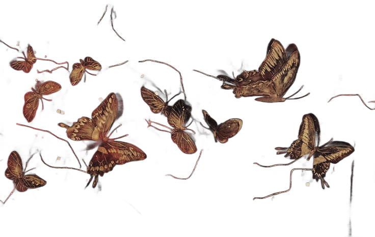 ˚ · ˖ ┊ ┊ 𝗖𝗥𝗜𝗠𝗦𝗢𝗡 𝒓𝒂𝒊𝒏 tweet media