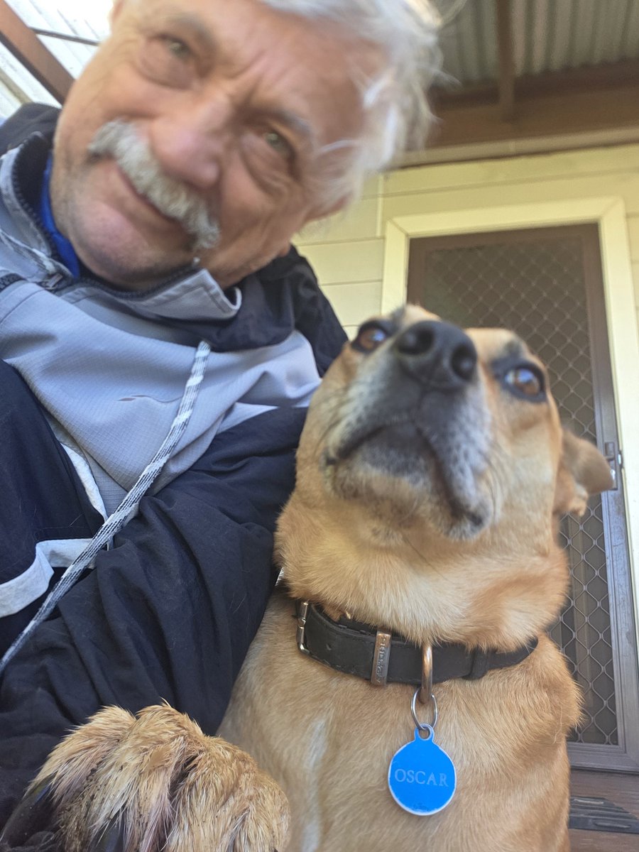 Stuart Tomlinson tweet media