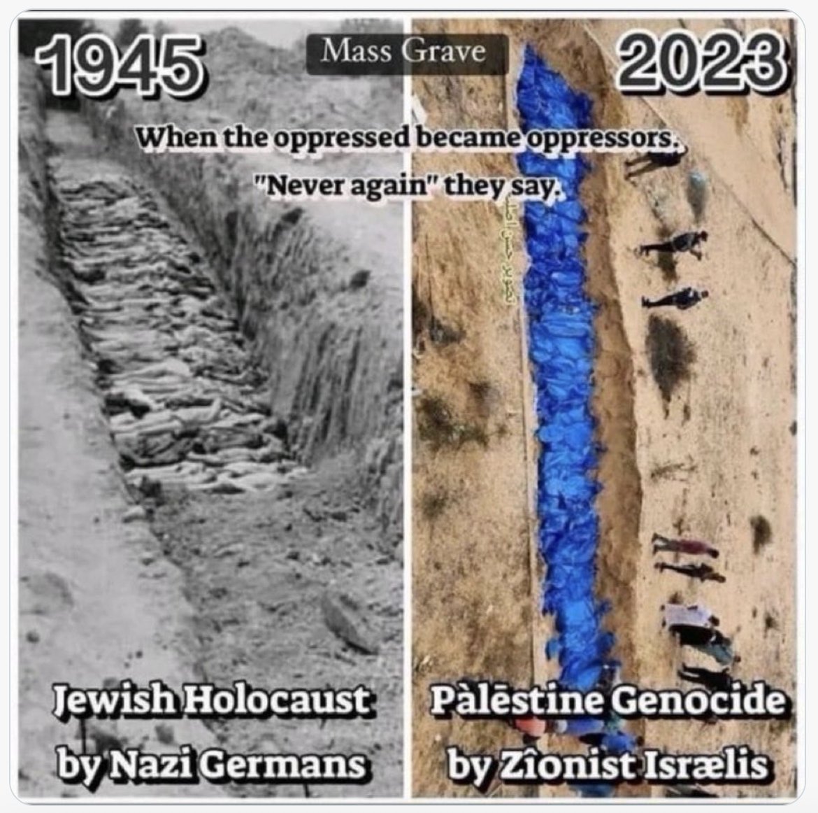 evasmagacz tweet media