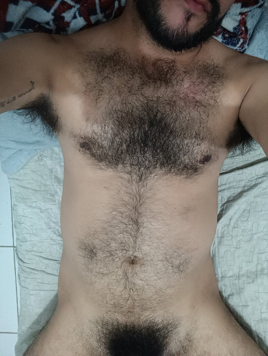 Hairy Hung Brazil 🇧🇷 | 14K | PRIVACY 40% OFF tweet media