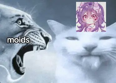 Lu ( ˶°ㅁ°) !! ‼️COMMS OPEN‼️ tweet media