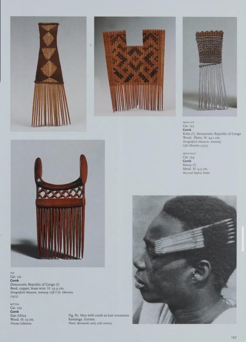 🪘🪈🎻🪉 tweet media