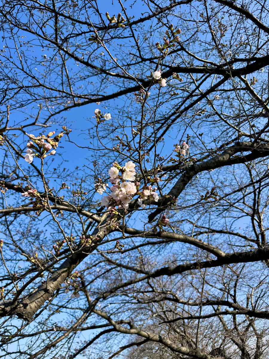 こも@ 𝕍𝔼𝕃𝕍𝔼𝕋𝔼ℝ☺︎︎𝟡𝟡𝟡.𝟡 tweet media