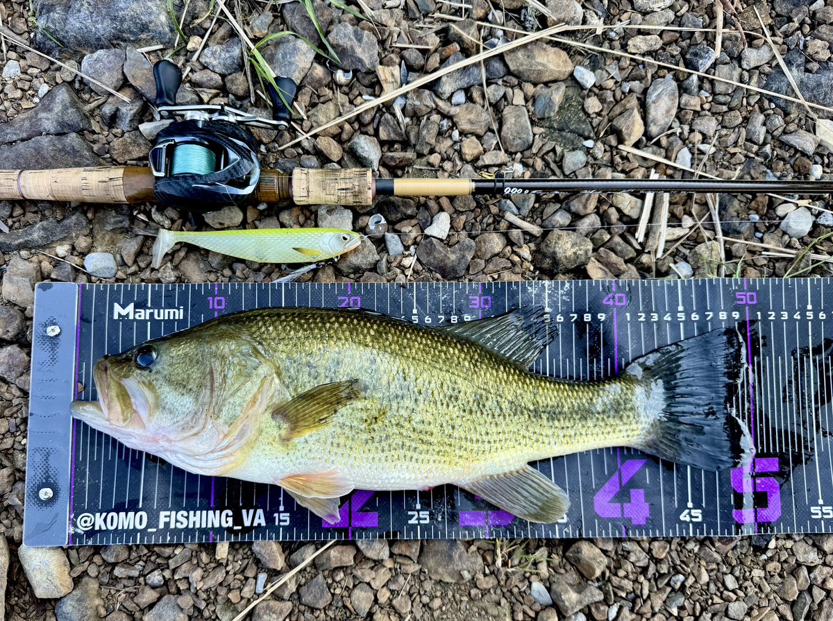 こも@ 𝕍𝔼𝕃𝕍𝔼𝕋𝔼ℝ☺︎︎𝟡𝟡𝟡.𝟡 tweet media