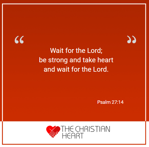 thechristianhrt's tweet image. The Bible is God’s Word to us. Each book reveals more about His heart. The Bible shows us God's holy, unchanging, faithful, gracious and loving character. We publish these Bible verses each day to help draw us all closer to Him.
#Jesus #Bible #Christian #Christianity