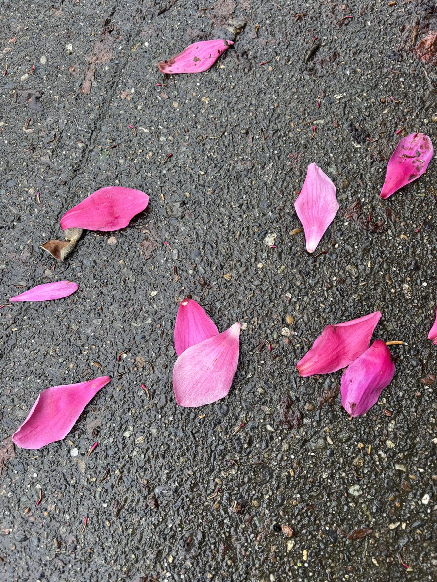 Horned Sphere tweet media