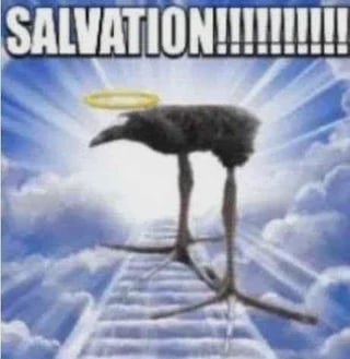 I've finally polished 2/5 of the chapters of my fanfic LETS GOOO