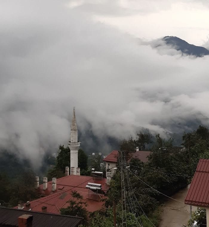 Prof.Dr.Ulvi Saran tweet media