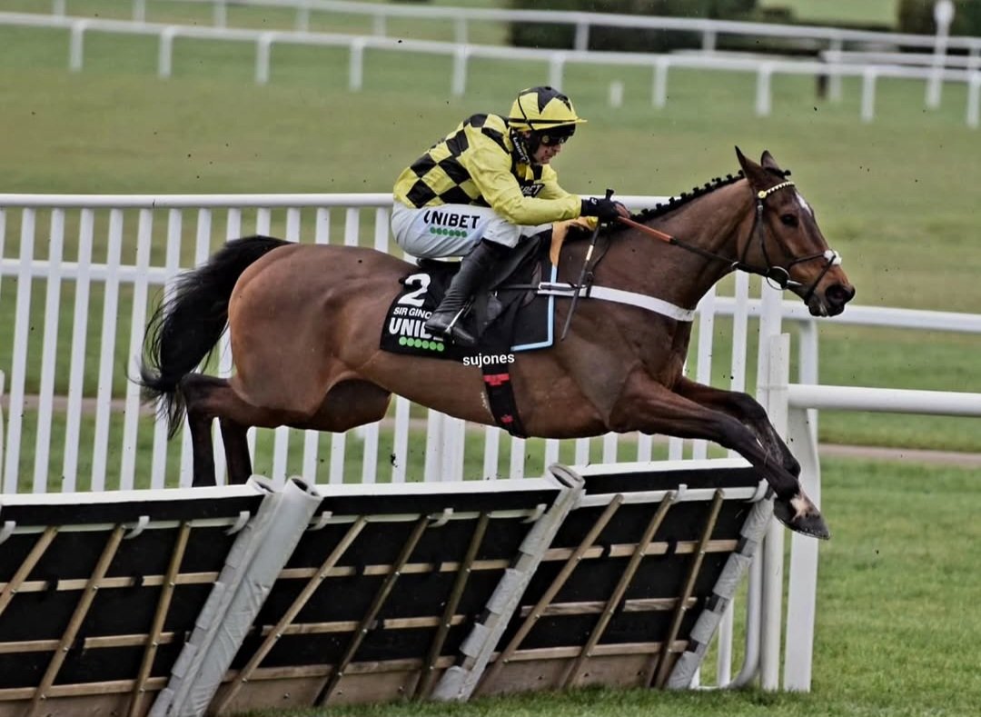 jones4352's tweet photo. You really did have the world at your feet and now we can only dream of how much greater you would have been .Rest easy lovely boy and thankyou ❤️ Thoughts with all those who loved and cared for him #SirGino @sevenbarrows https://t.co/dHviHTiv2s