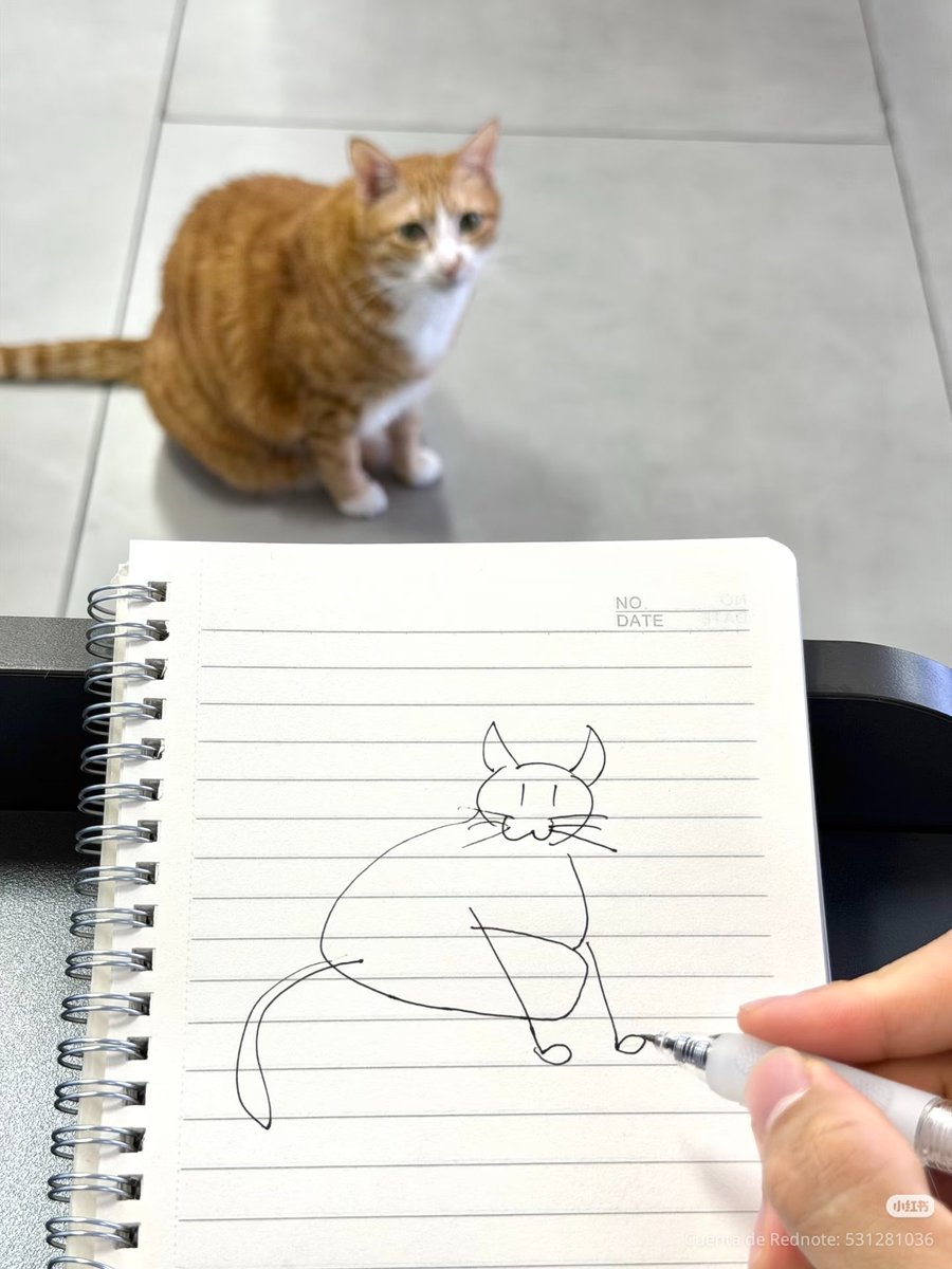 daily post tweet media