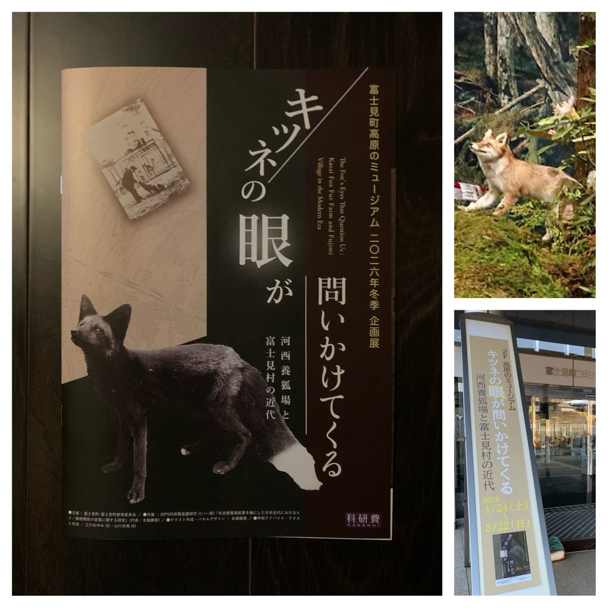 2T3kTEfDxWNhHfF's tweet photo. 3月21日のお墓参り時に、#富士見町高原のミュージアム　で　#養狐場　の展示を発見。子供の頃、戦時中は駅の近くに狐の牧場があって、毛皮にしたり食べたりしたと、なにか町の怖い秘密の話のように聞いた記憶があり、展示を見て霧が晴れる。映像に驚く。明日は遠山の狐憑の知人を訪ねようと思いたつ。 https://t.co/TnN0u4qA7r