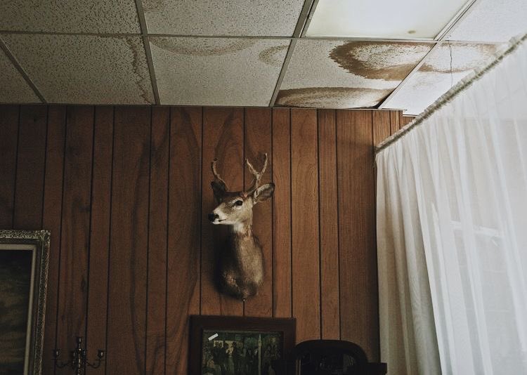 sequoia 𓍢ִ໋ . ݁ 𝜗𝜚 tweet media