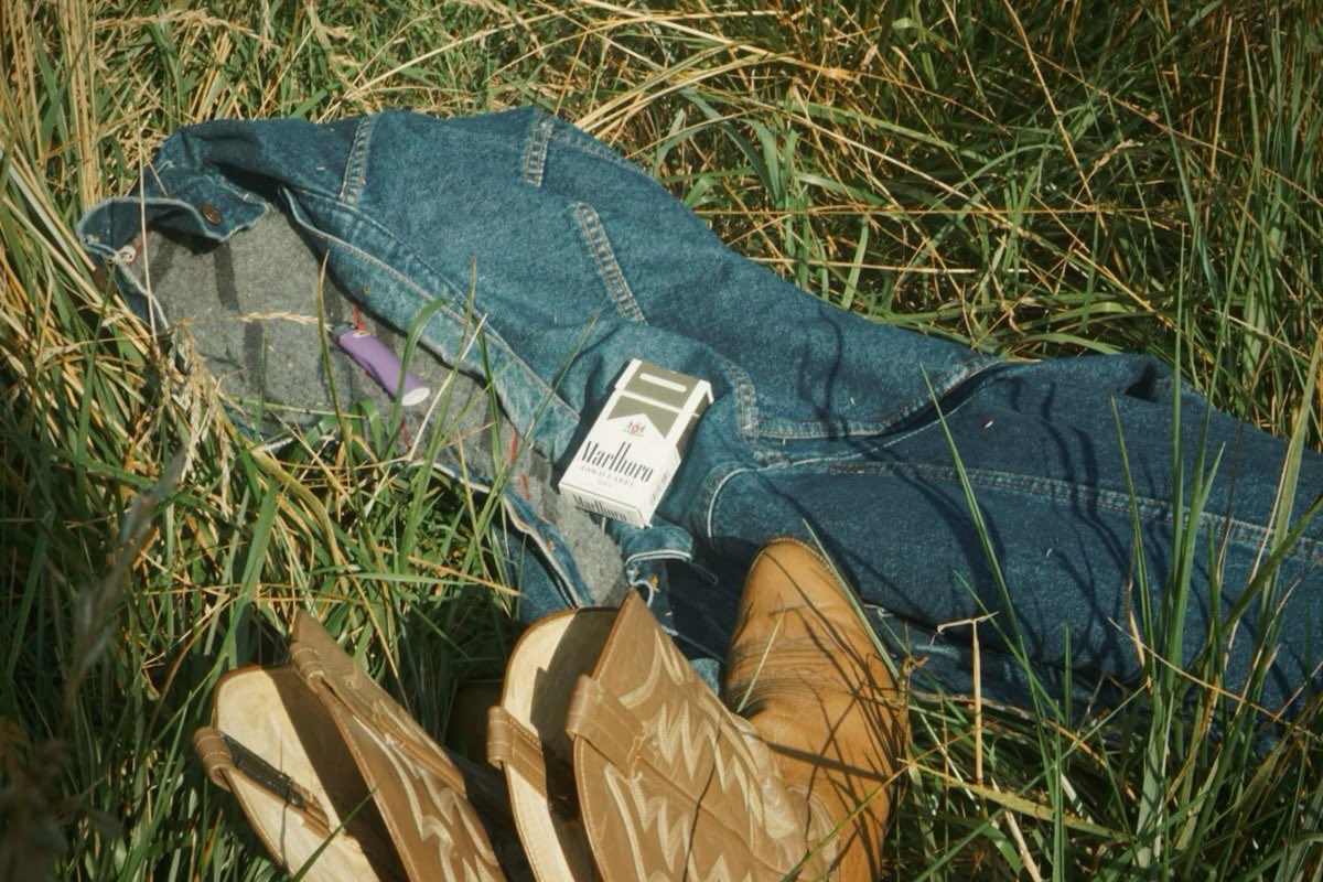 sequoia 𓍢ִ໋ . ݁ 𝜗𝜚 tweet media