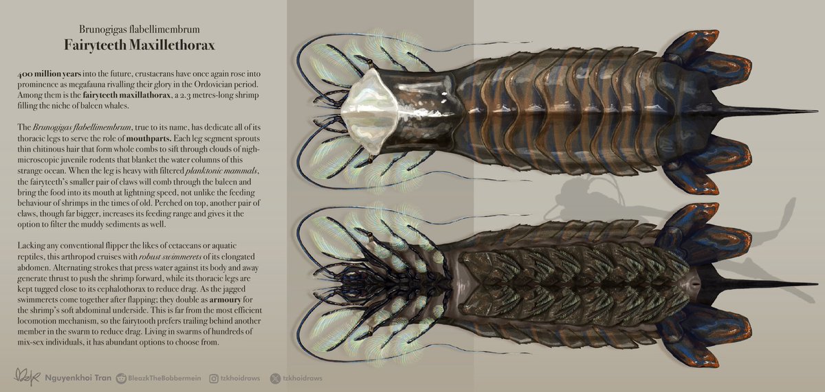 Nguyenkhoi Tran (comms open) tweet media