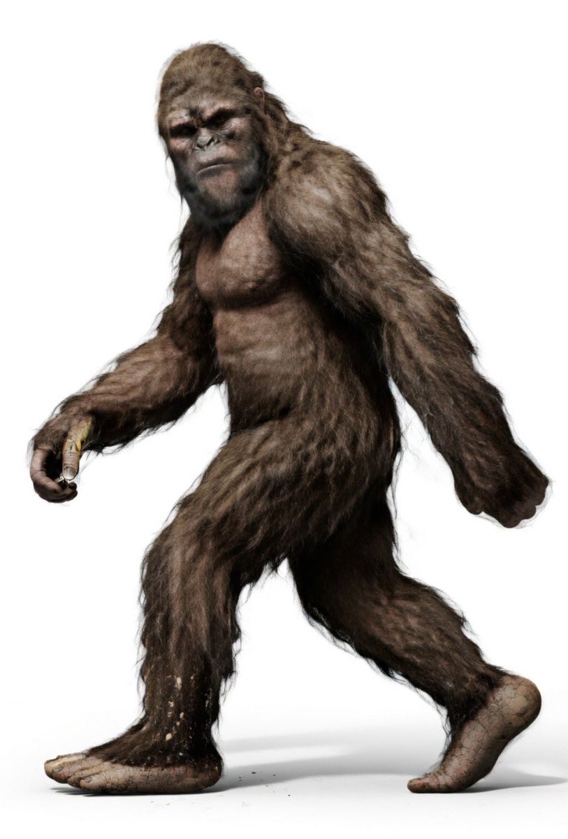 - ANDREAS - tweet media