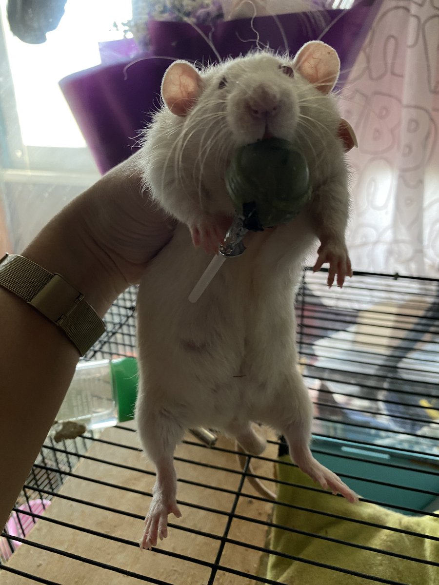 Cherrry🍒 tweet media