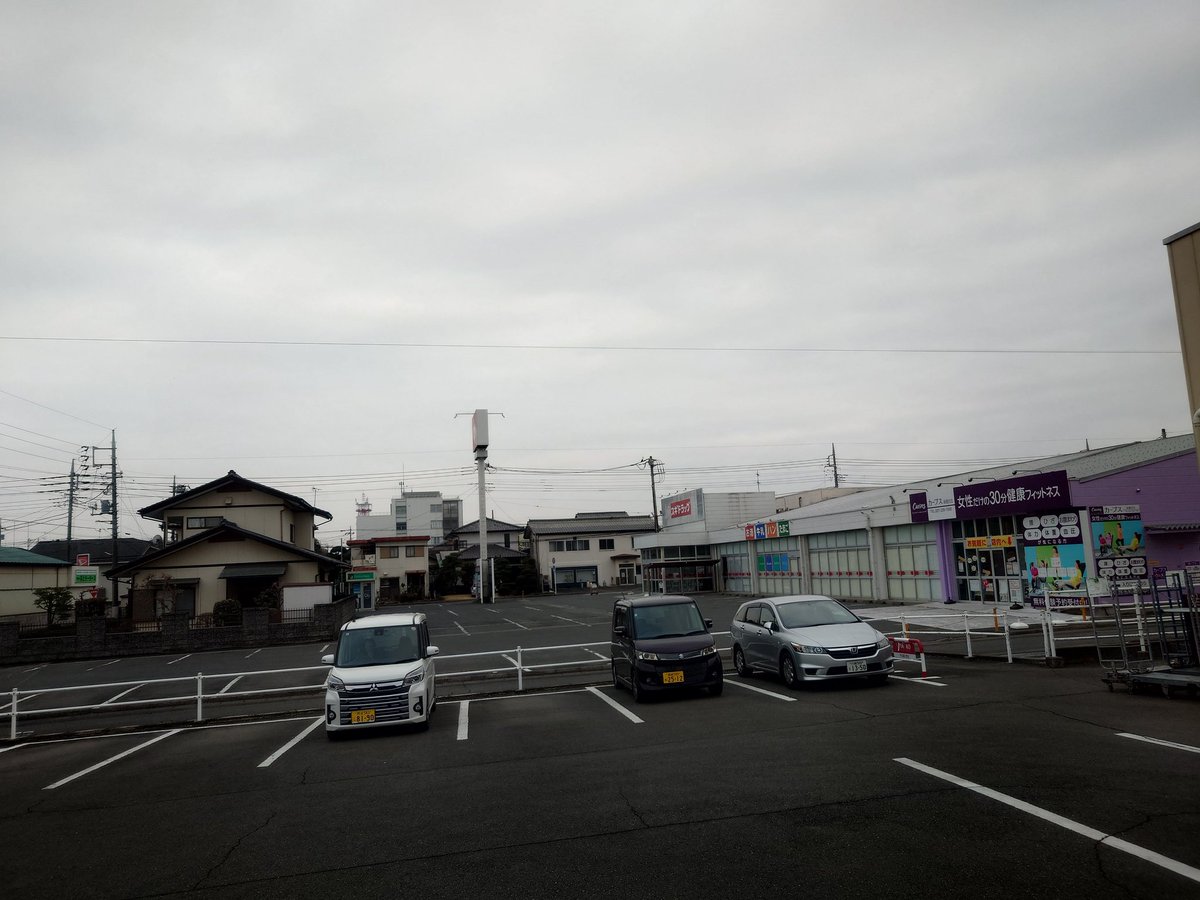 ハチ🇺🇦 tweet media