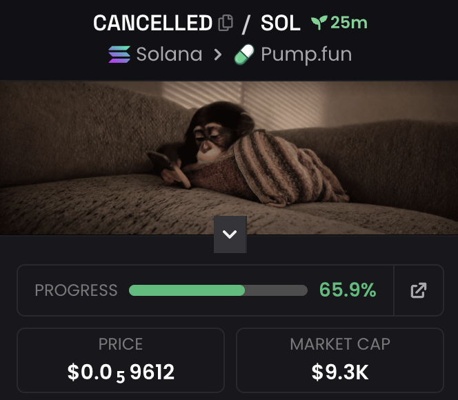 SpawnsJourney tweet media