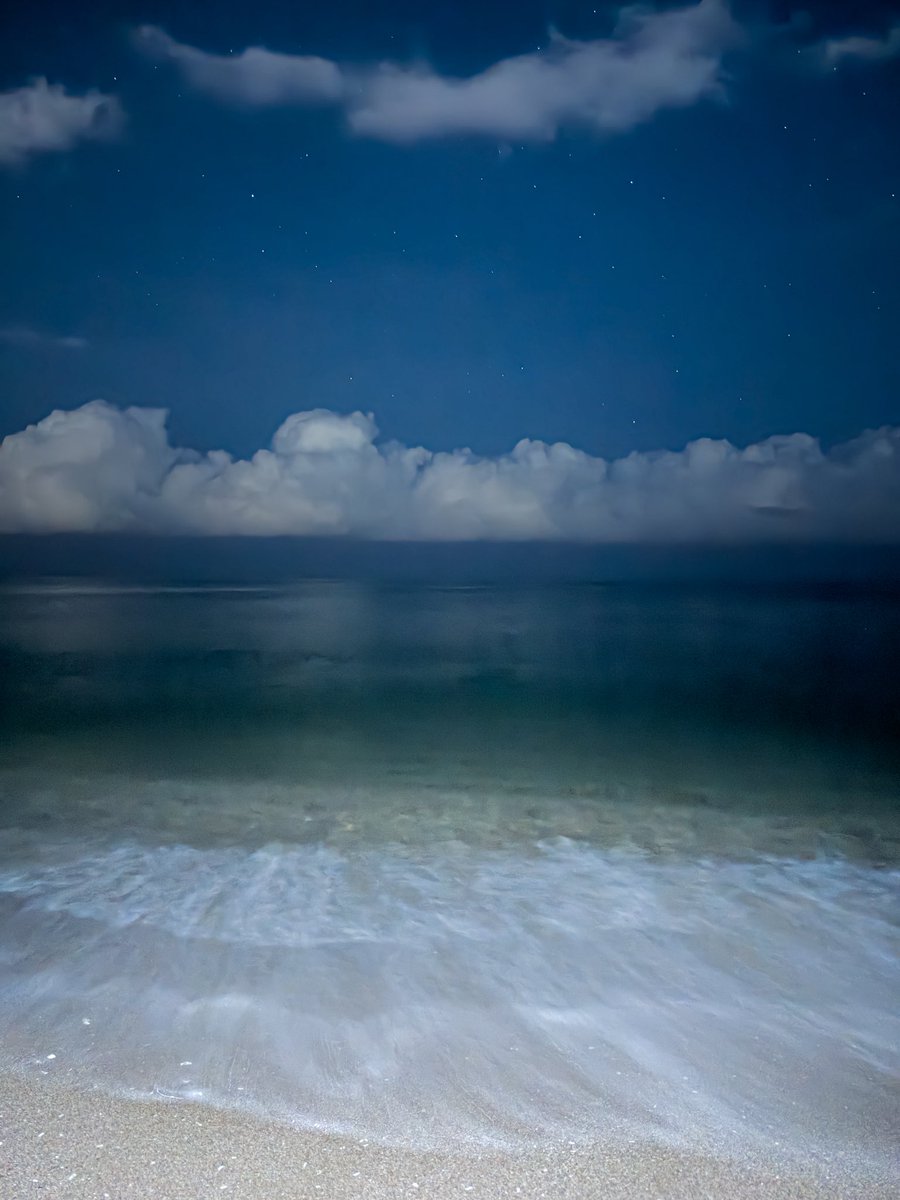 هزاع. tweet media