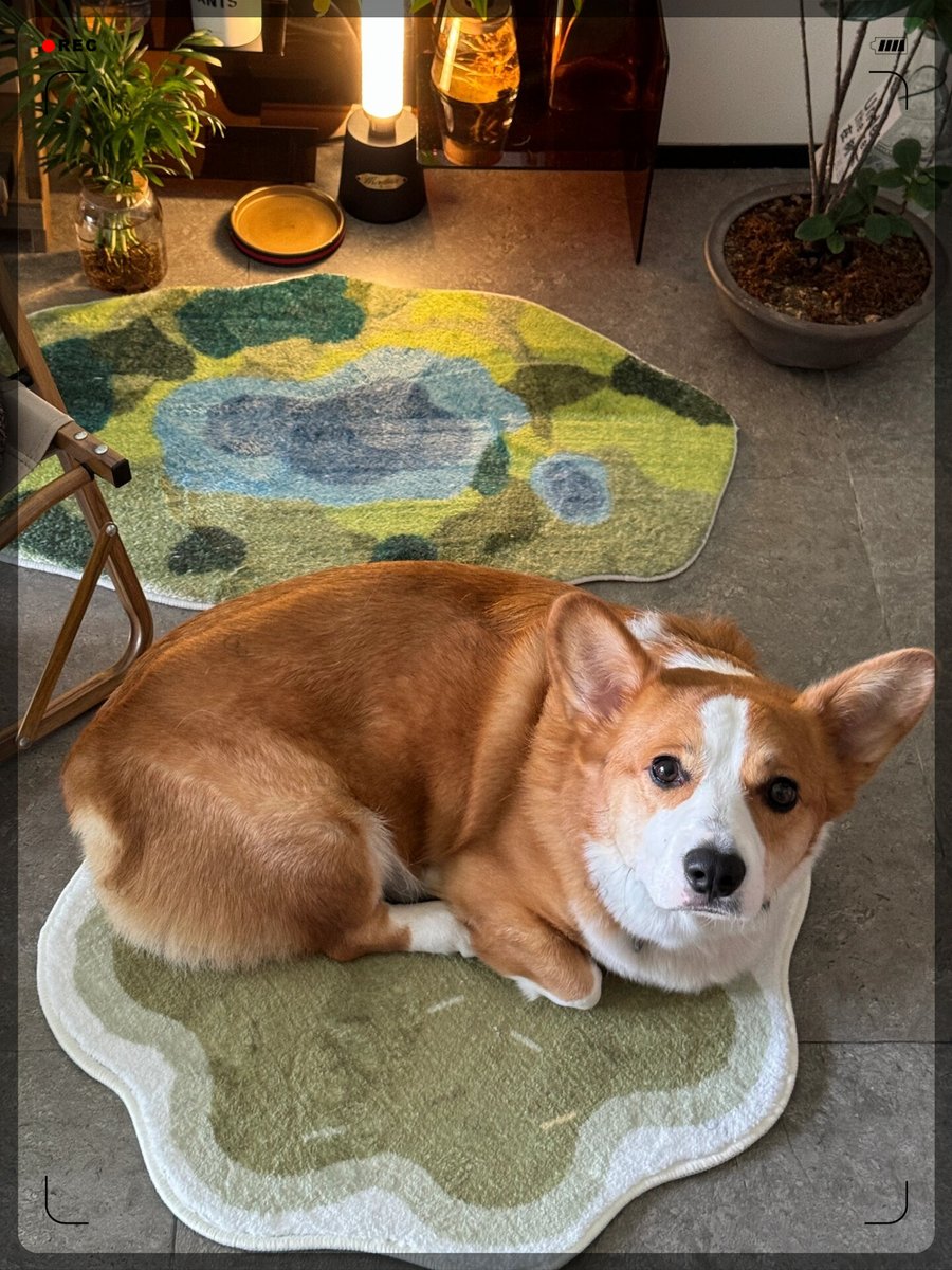 Kevin Helm tweet media