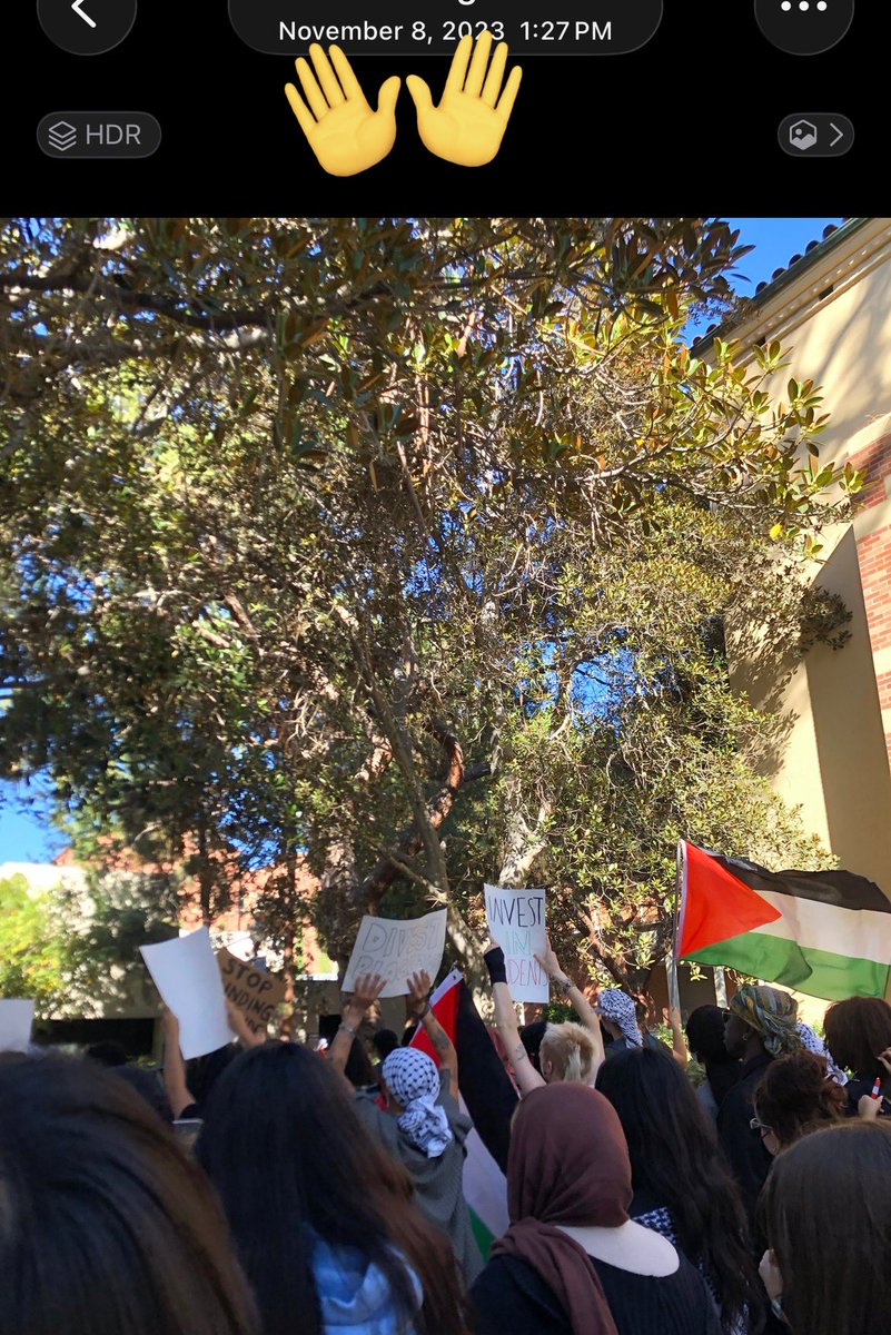 oliver 🛸 tweet media