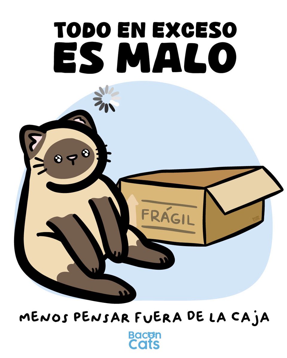 Bacon Cats tweet media