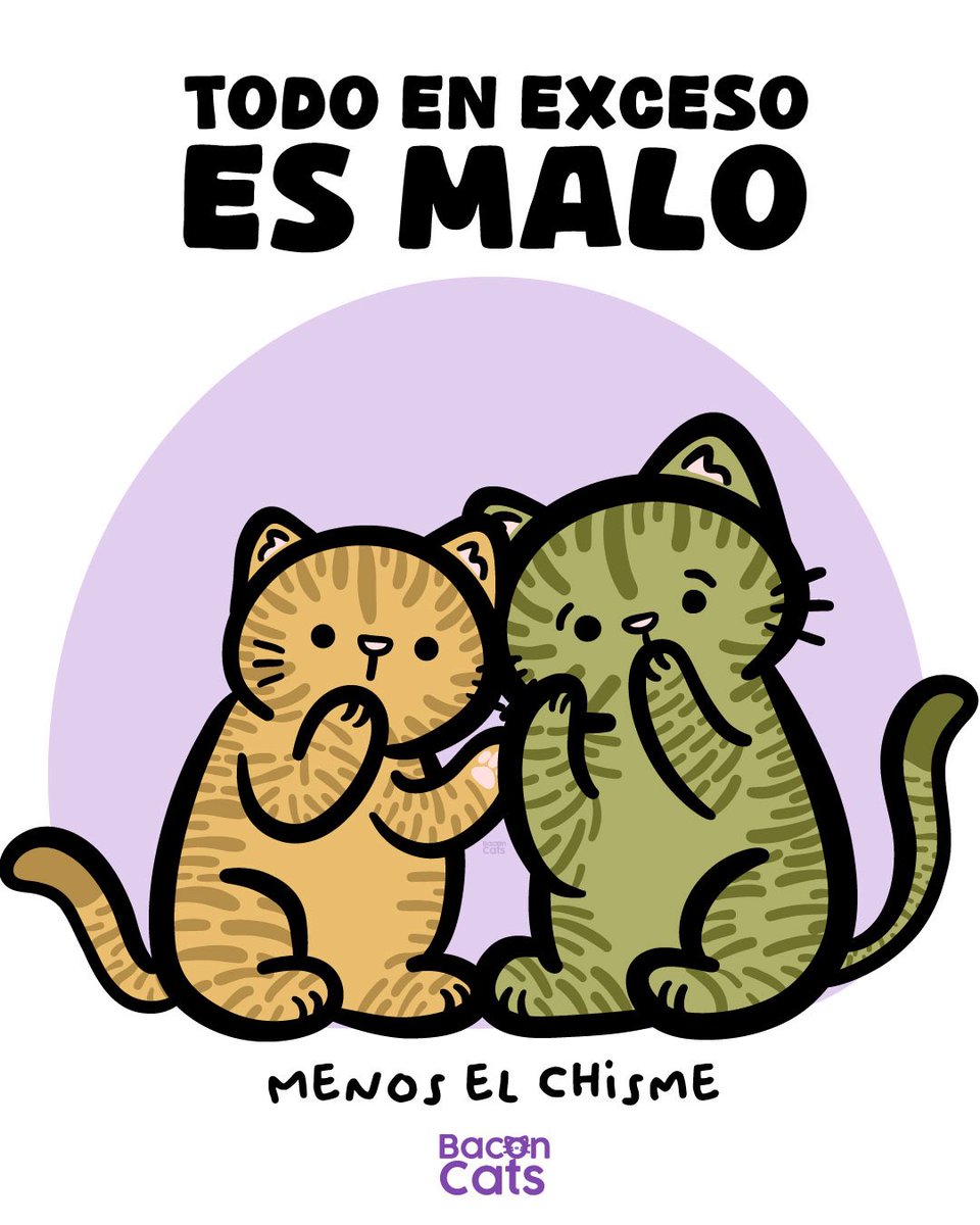 Bacon Cats tweet media