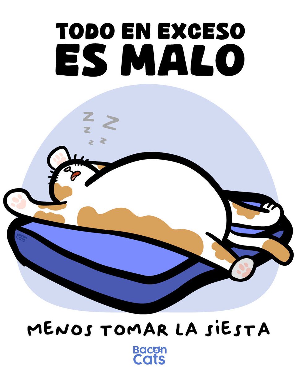 Bacon Cats tweet media