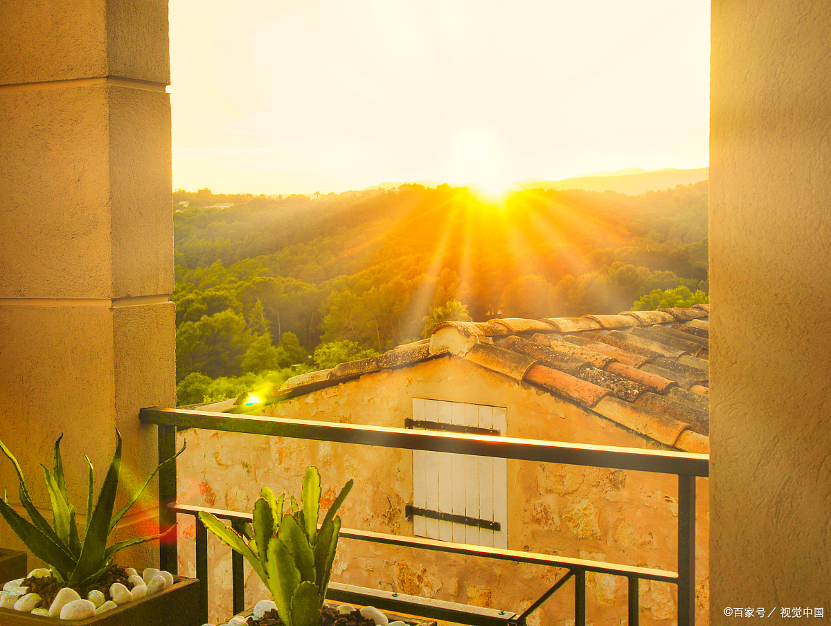 Ethan Duck tweet media