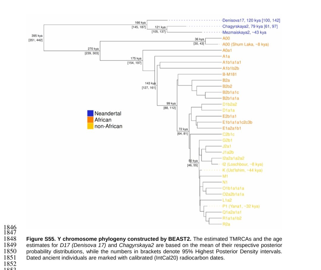 *vfgfffffff tweet media