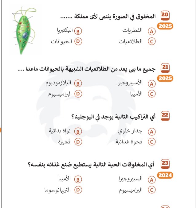 🐈‍⬛🌼 tweet media