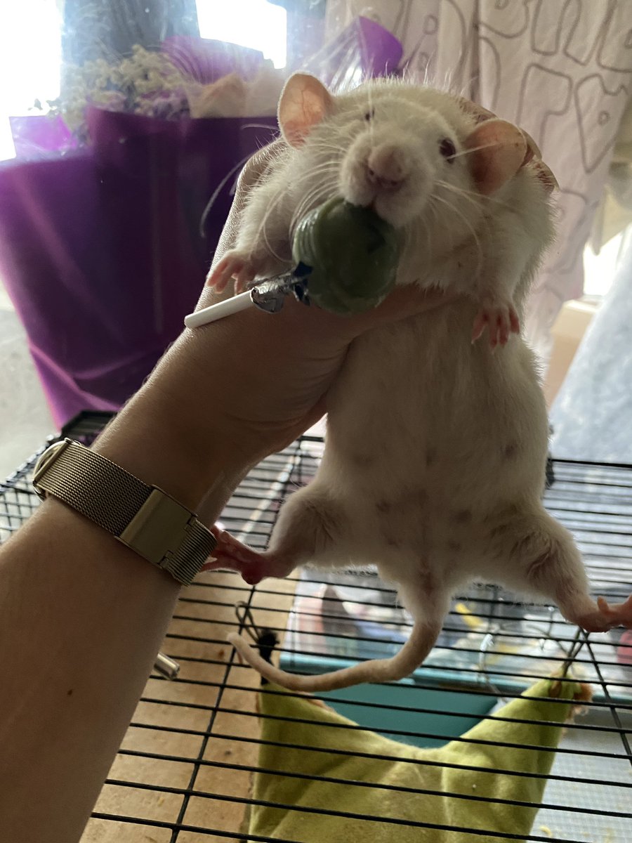 Cherrry🍒 tweet media