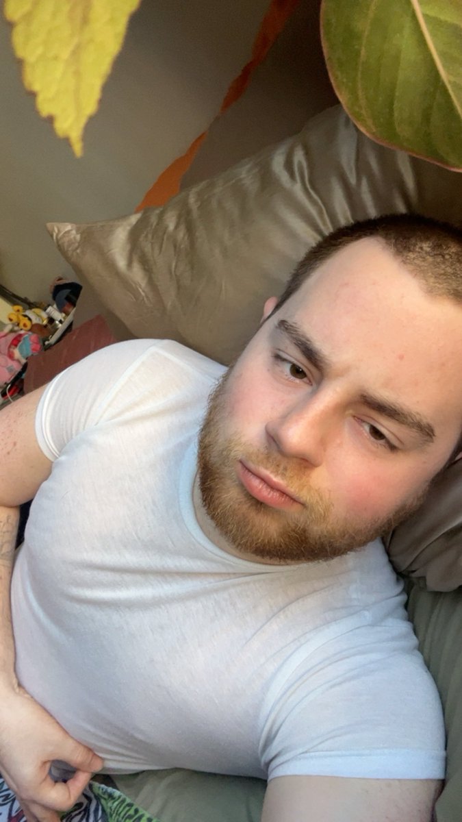 Gaysex Twin tweet media