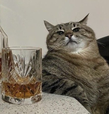 Legato 🌽🦊 tweet media