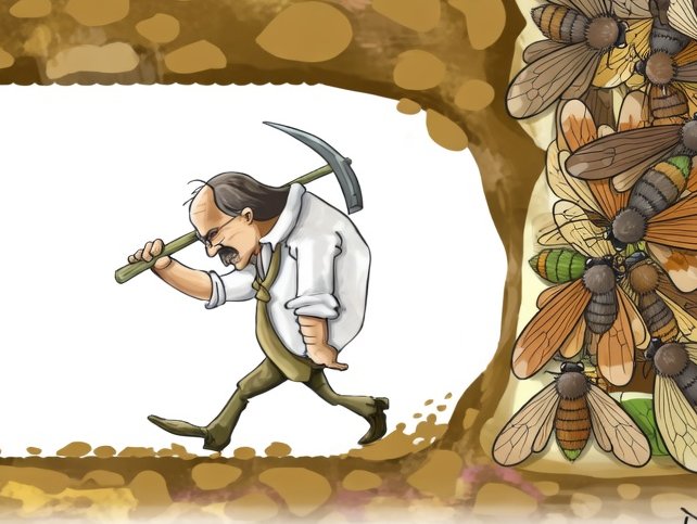 Chef Winters [$BTC] tweet media