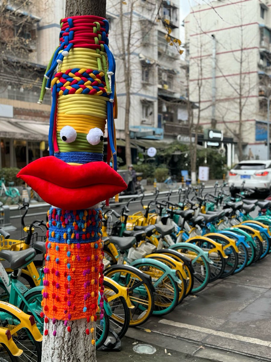 Amanda Tracy tweet media