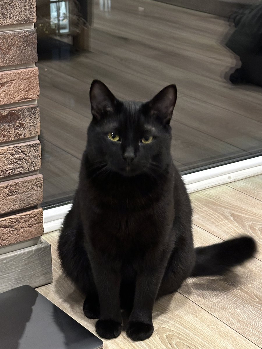 Тамара Мітельмідзе tweet media